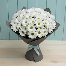 Букет цветов из:  Хризантемы в Осельки