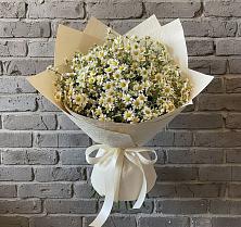 Букет цветов из:  Ромашки #REPLACE_PRED# Осельки