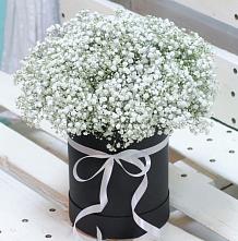 Цветочная композиция из Гипсофила в шляпной коробке #REPLACE_PRED# Осельки