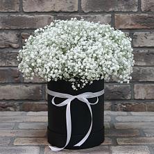Цветочная композиция из Гипсофила в шляпной коробке в Осельки