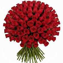 Букет Красные розы Чери Лав #REPLACE_PRED# Осельки