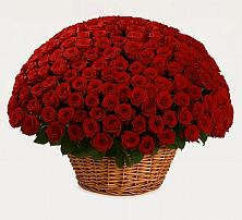 Премиум букет из: Розы #REPLACE_PRED# Осельки