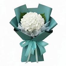 Букет цветов из:  Гортензия в Осельки